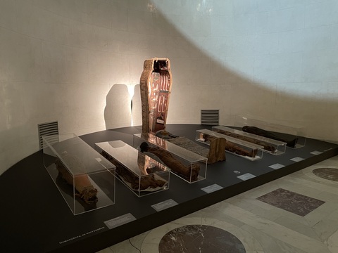 Шесть мумий