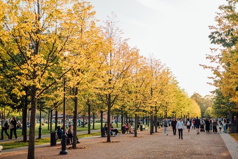 Часть 3. История острова