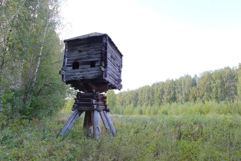 Мельница-столбовка из деревни Разливное