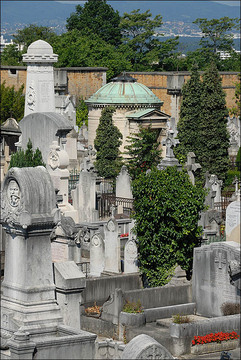 Cimetière de Loyasse - 洛耶斯墓地