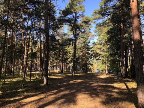 Поляна Бианки