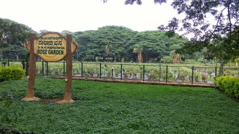 Rose Garden