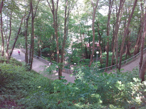 Downhill “Serpentine”