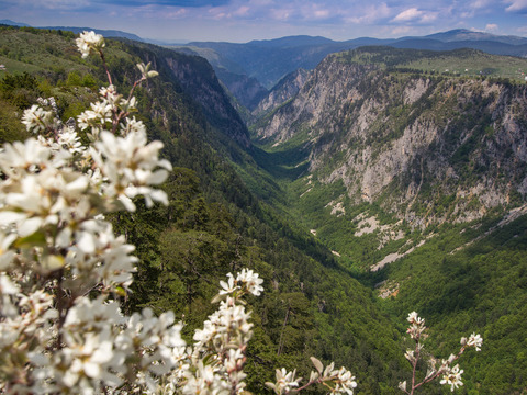 Sušica-Schlucht