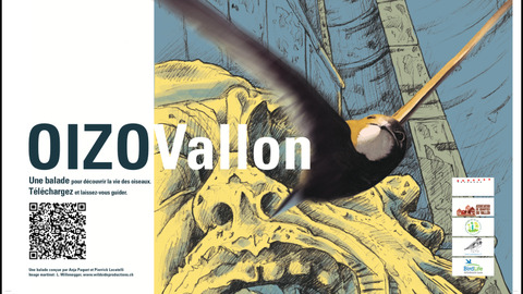 OIZOVallon : un sentier didactique sur les oiseaux des villes