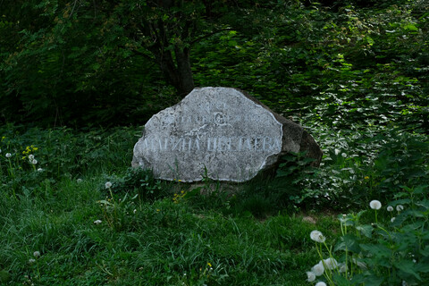 Под кустом бузины. Марина Цветаева