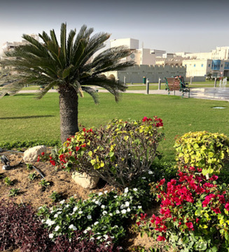 حديقة سوك فاكيف