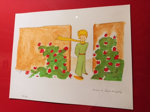 15. Маленький принц в розовом саду