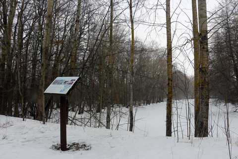 Пруды крепостного рва