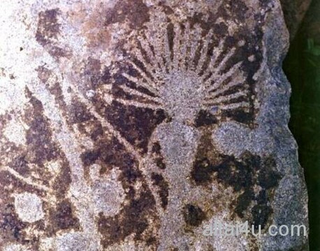 Загадки Каракольской культуры