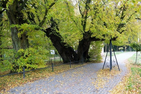 Lake Tikhoje (Calm lake – formerly called Mill Pond)
