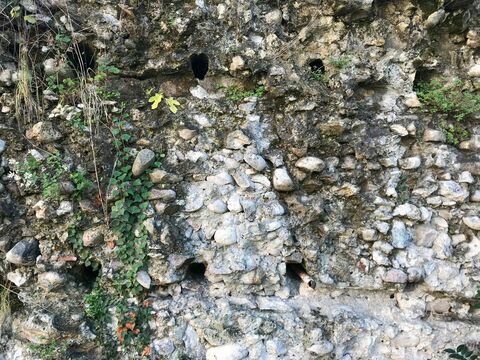 Сухумская крепость