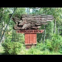 Национальный парк "Куршская коса"