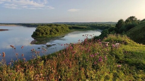 Нижнезолотилово