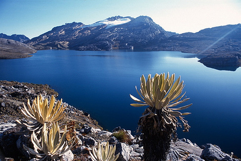 PARQUE NACIONAL DEL COCUY UN LUGAR PARA  DISFRUTAR!