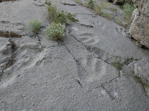 Историко-природный парк "Ширкент"