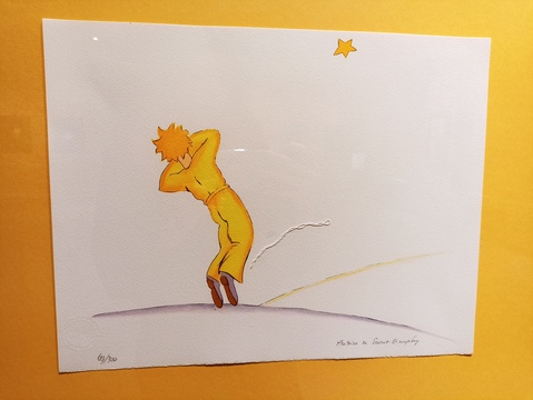 20. Маленький принц заснул