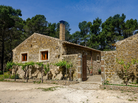 Mineo / Licodia Eubea, Demanio Forestale Marineo Cozzarelli