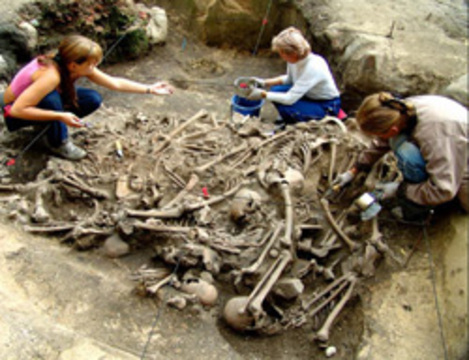 Раскопки и находки Ярославского кремля