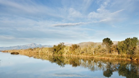 Can Picafort envoltat de natura 2d: Camí d'enmig - ses Puntes