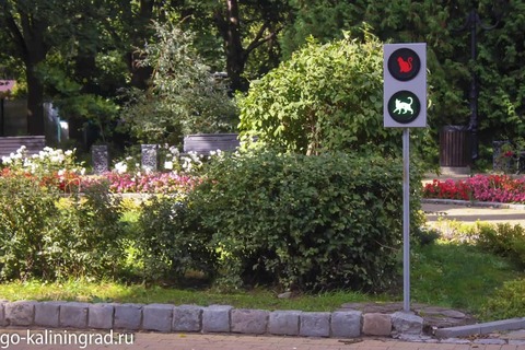 Сквер "Котофейня"