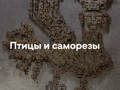 Птицы и саморезы