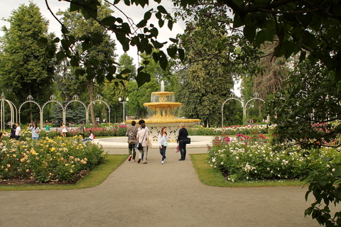 Аллеи Парка