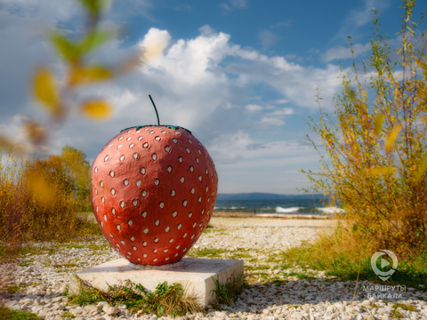 КЛУБНИЧНЫЙ ФЕСТИВАЛЬ «ВИКТОРИЯ» И ПАМЯТНИК КЛУБНИКЕ
