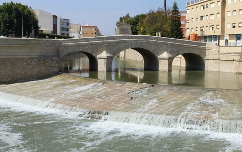 Rojales. Historia viva