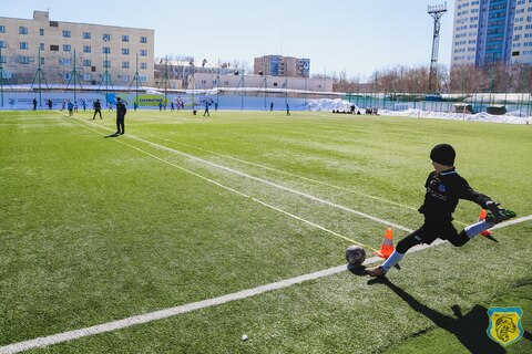 Стадион Волга