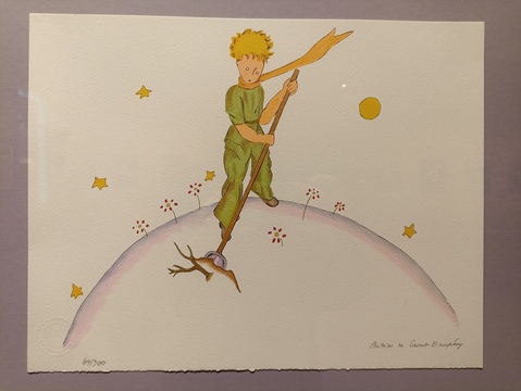 4. Маленький принц на своей планете