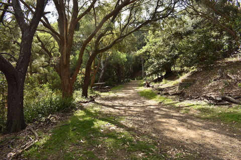 Arcadia Park