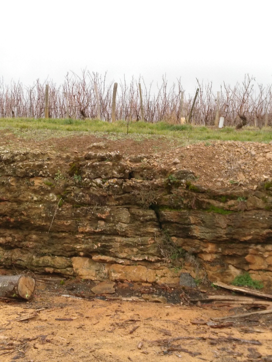 Nature du sol (sol sur roche sédimentaire, calcaire dur)