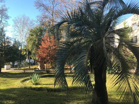 Аллея пограничников