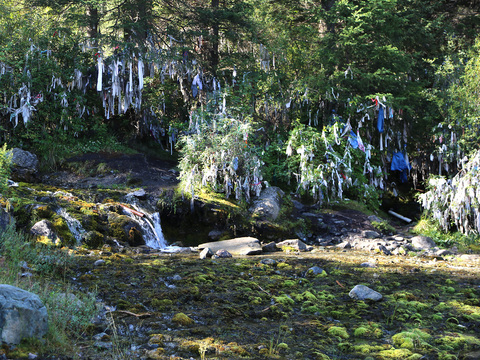 Целебные источники