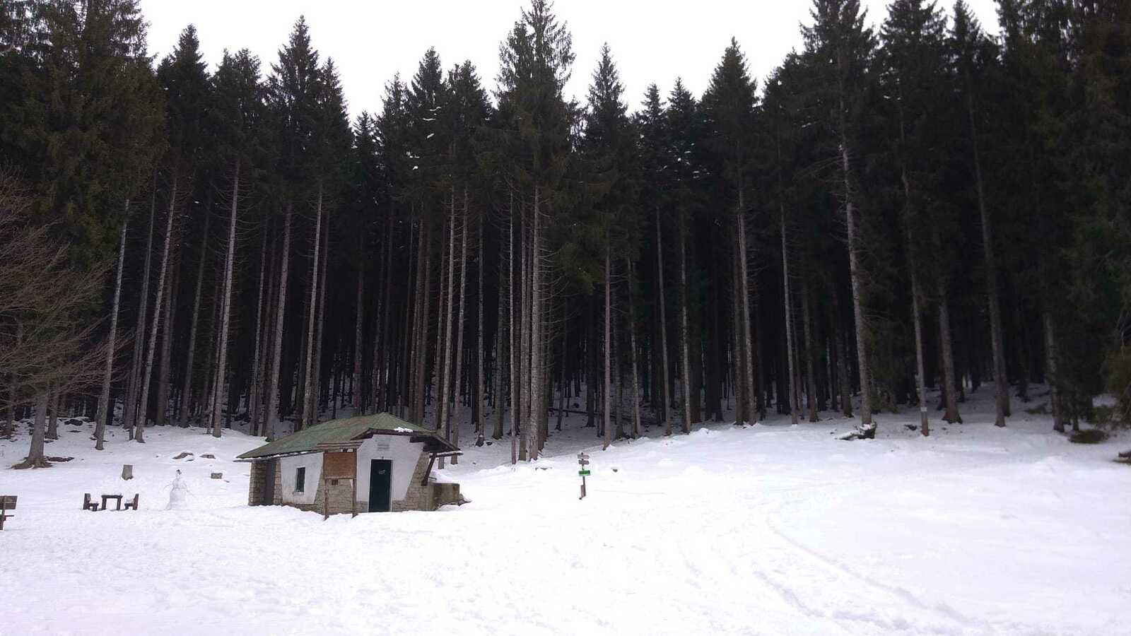 CESUNA - Bosco nero attorno al Lemerle