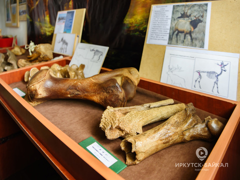 МУЗЕЙ «ДРЕВНОСТИ БАЙКАЛА»