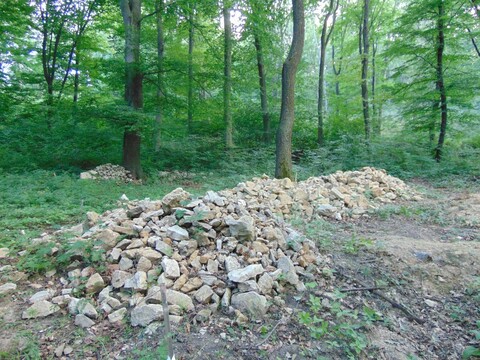 Szentmiklóskúti pálos kolostor, Vállus