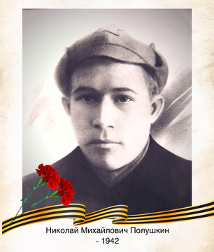 Николай Михайлович Полушкин