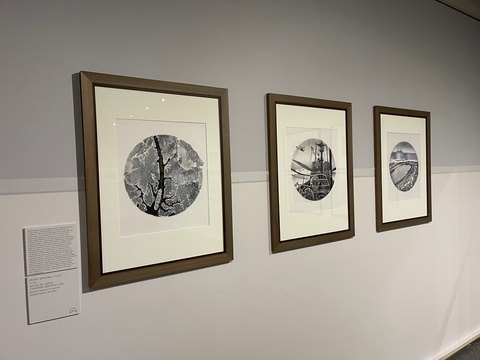 Зал 4. Нелли Фролова. Серия «Покоряя Арктику»