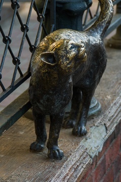 Ласковый кот