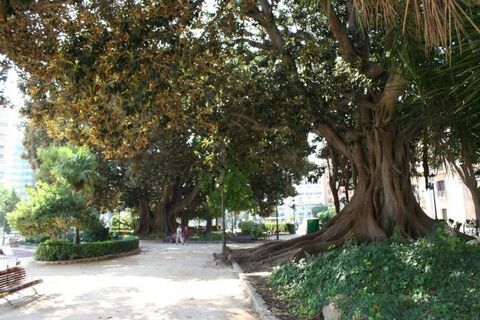 La Glorieta and Parterre Gardens