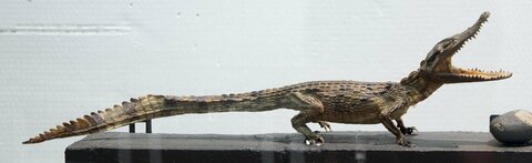 Композиция с чучелом крокодила. ХХ век. Из мастерской Дмитрия Краснопевцева