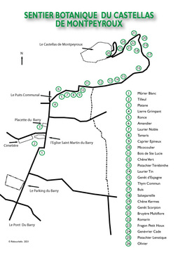 SENTIER BOTANIQUE DU CASTELLAS DE MONTPEYROUX