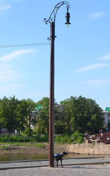 Фонарь и собака. Первый вологодский фонарь