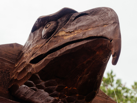 Орнитологическая тропа «Пернатый мир Буотамы»