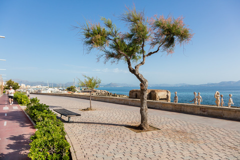 Can Picafort envoltat de natura 4: Passeig Marítim de Can Picafort