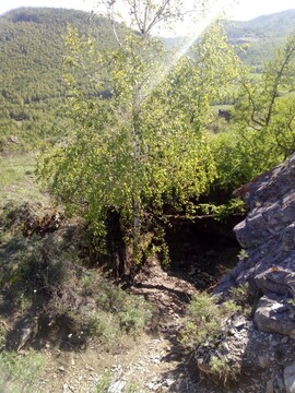 Тагарский рудник