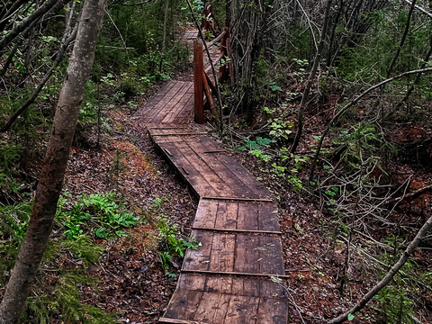 Видовая точка 2