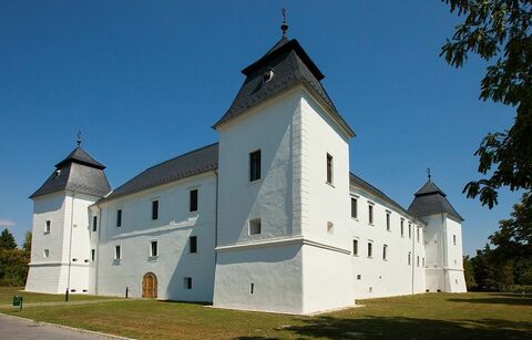 Széchenyi-Solymosi várkastély, Egervár